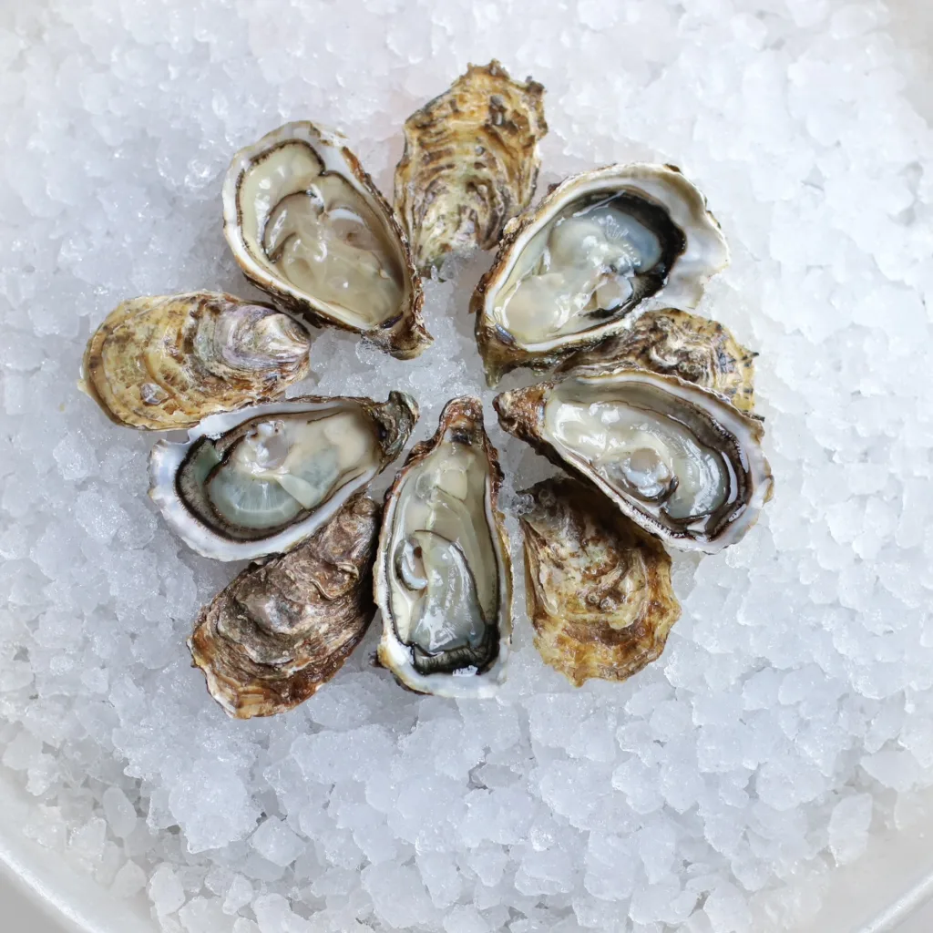 Brasserie flo Metz, les Arts et Métiers, gare de Metz, fruits de mer, restaurant metz, brasserie metz, restaurant fruits de mer metz, Metz ville, gault&millau Metz , maitre restaurateur, qualité mosl